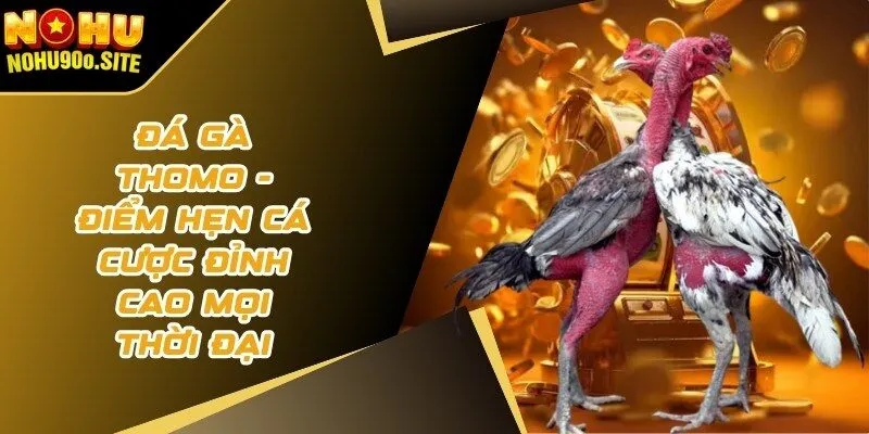 đá gà Thomo